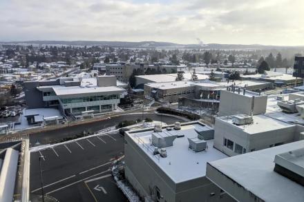 Snowy campus